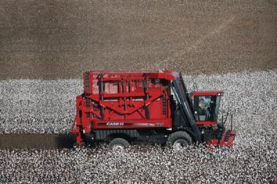 COTTON HARVESTING